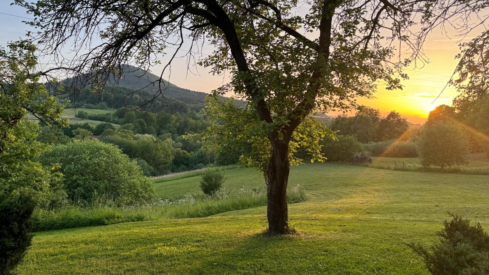 Dom W Starym Sadzie Z Basenem I Sauna - Beskid Wyspowy *