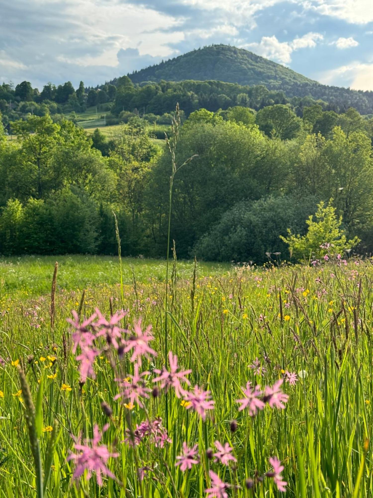 Villa Dom W Starym Sadzie Z Basenem I Sauna - Beskid Wyspowy