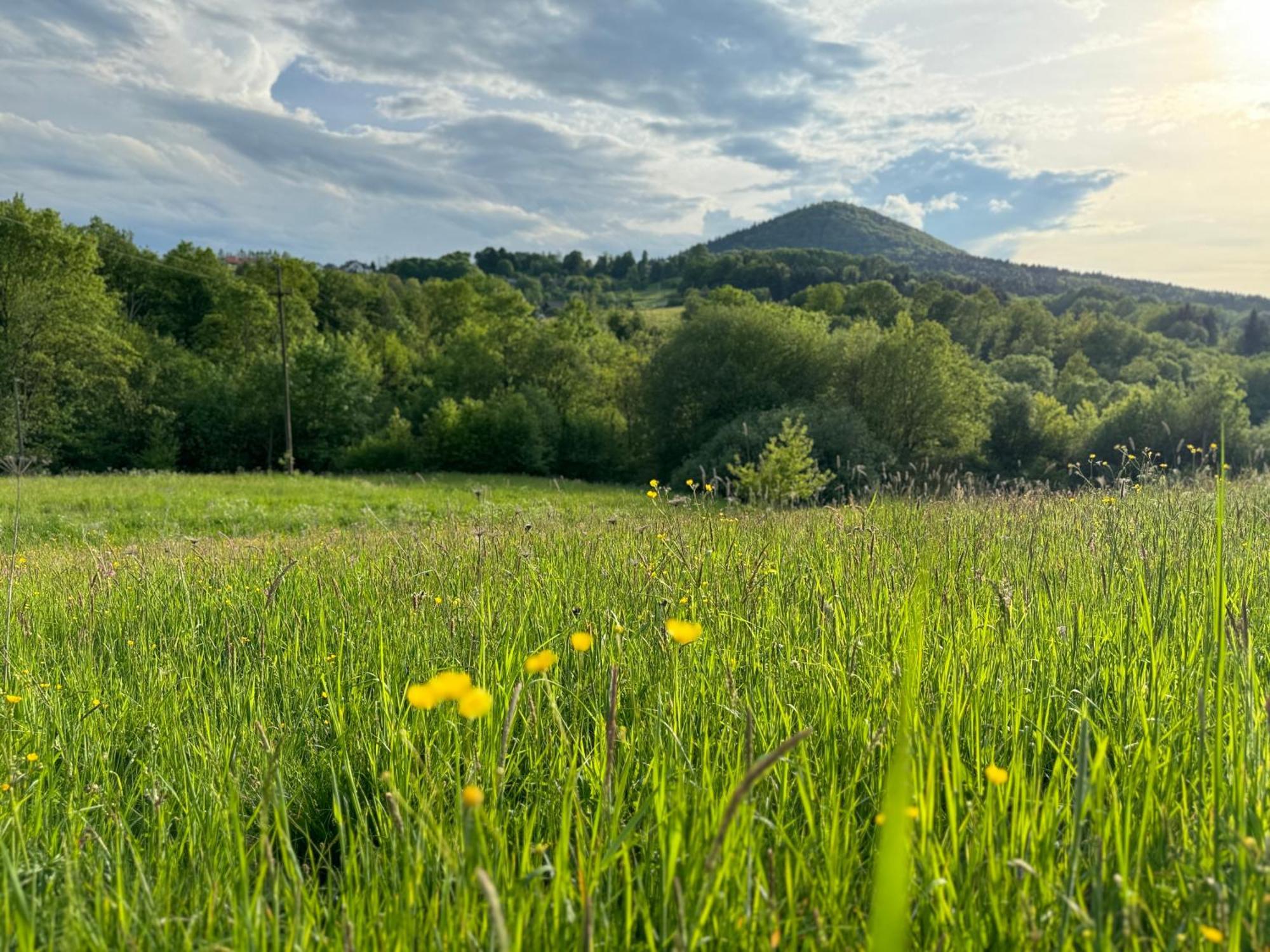 Villa Dom W Starym Sadzie Z Basenem I Sauna - Beskid Wyspowy *