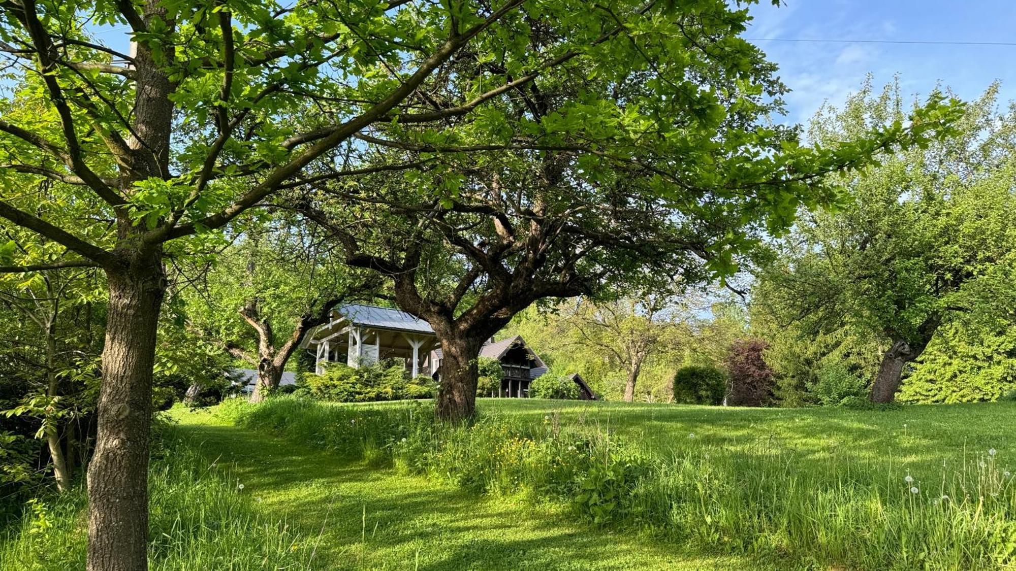 Villa Dom W Starym Sadzie Z Basenem I Sauna - Beskid Wyspowy *
