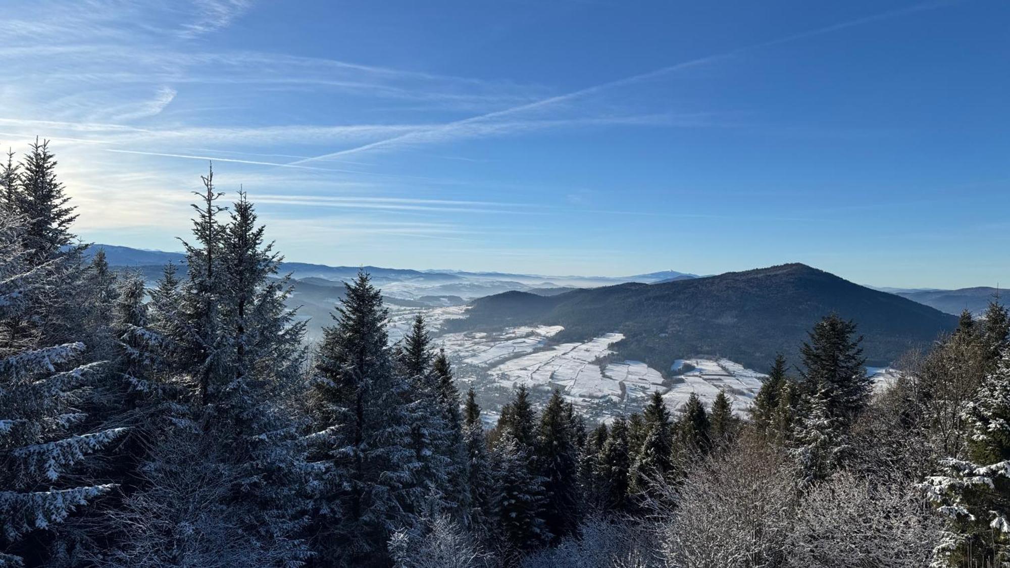 Villa Dom W Starym Sadzie Z Basenem I Sauna - Beskid Wyspowy *