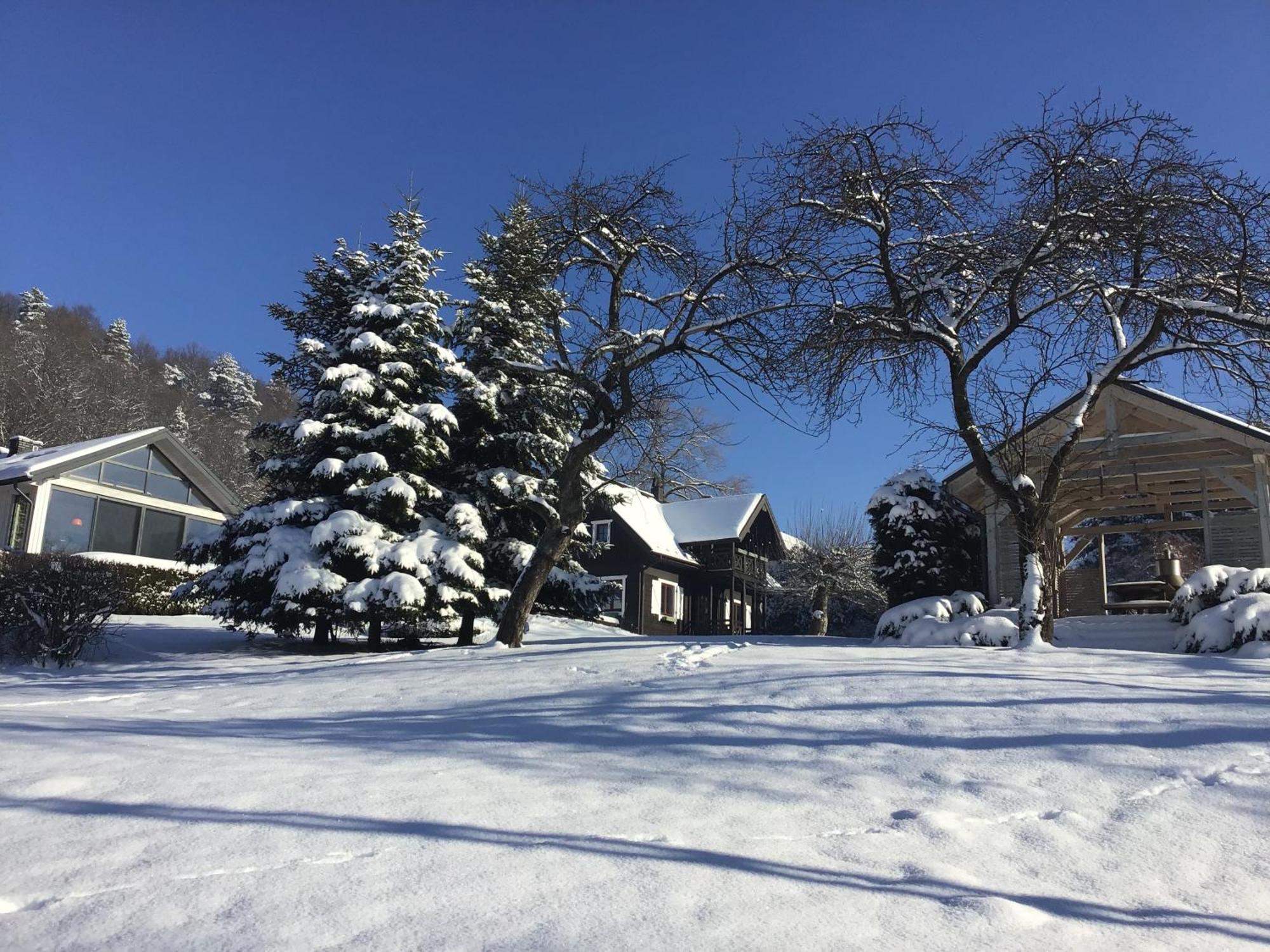 Dom W Starym Sadzie Z Basenem I Sauna - Beskid Wyspowy Villa Rybie Nowe