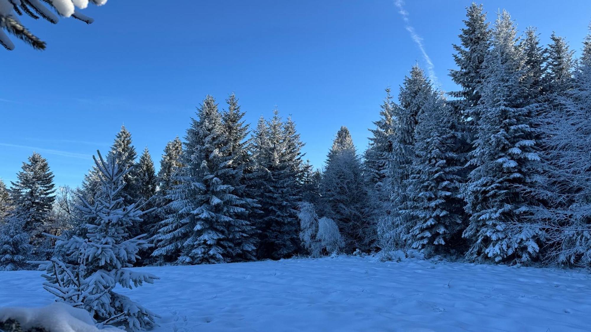 Dom W Starym Sadzie Z Basenem I Sauna - Beskid Wyspowy Villa *